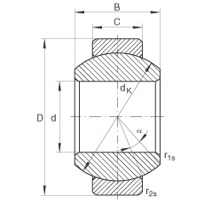 Rodamiento GE6-FO INA