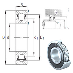 Rodamiento BXRE08-2RSR INA