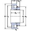 Rodamiento 1220 K + H 220 SKF