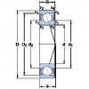 Rodamiento S71913 CD/P4A SKF