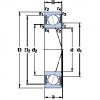 Rodamiento S71911 ACE/P4A SKF