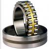 Bearing NNU4096MAW33