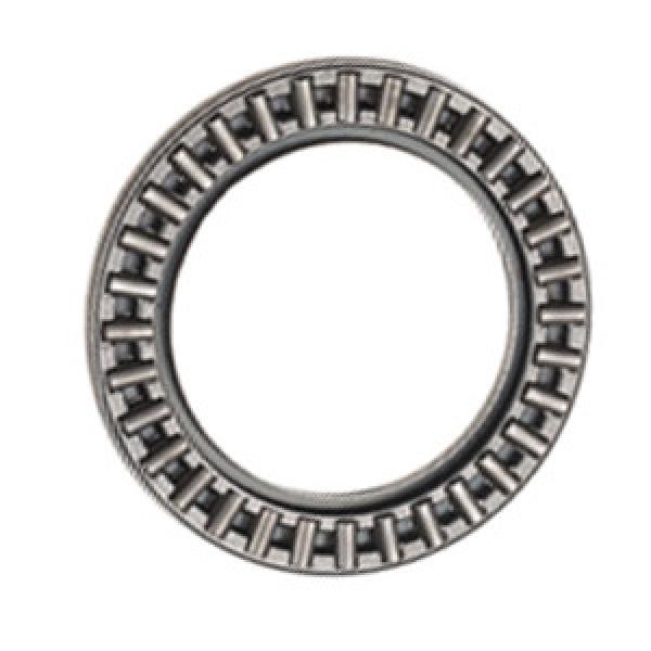 INA AXK1730 Thrust Roller Bearing #1 image