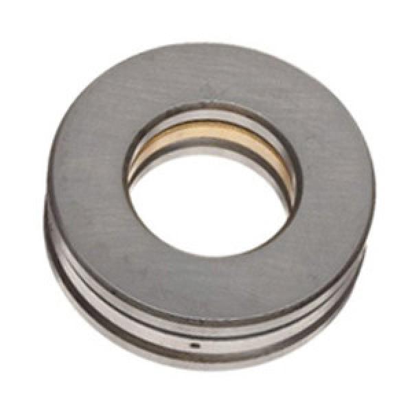 INA RTL17 Thrust Roller Bearing #1 image