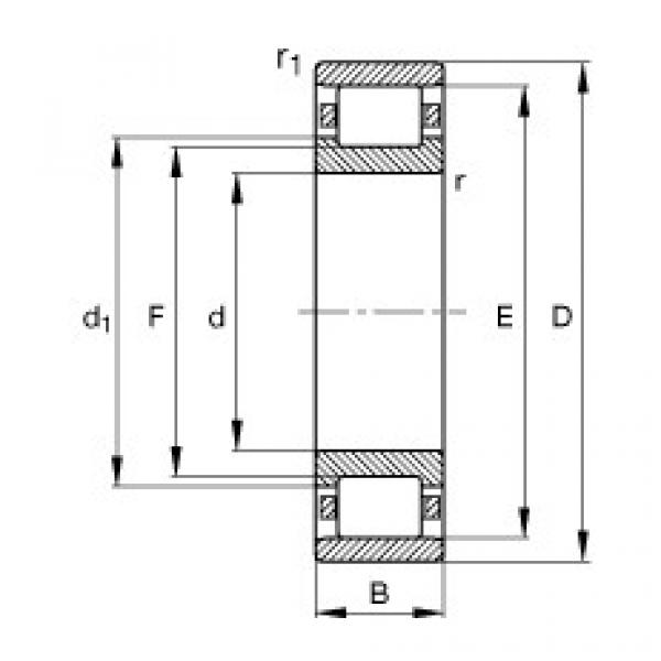 Rodamiento N209-E-TVP2 FAG #1 image