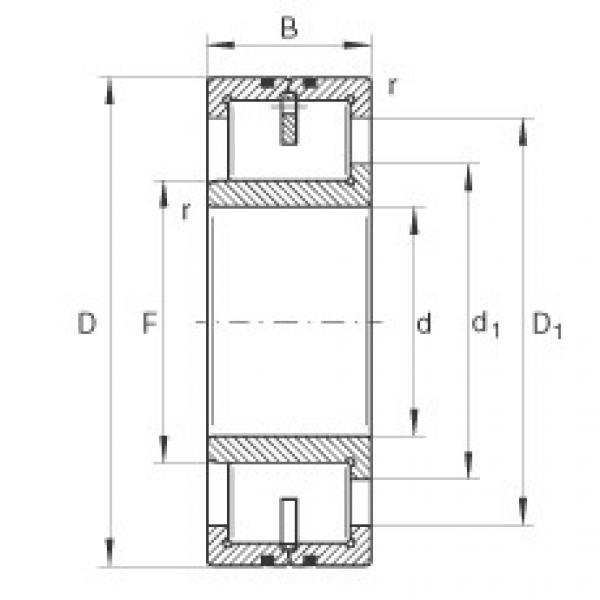 Rodamiento LSL192324-TB INA #1 image