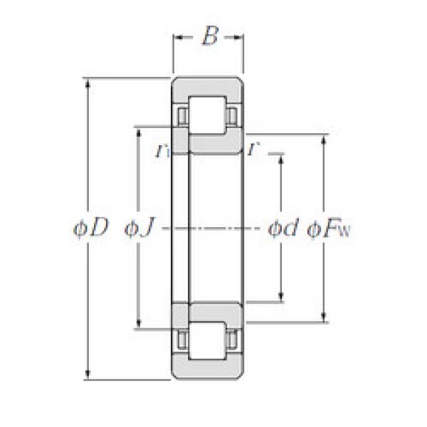 Rodamiento NUP309 NTN #1 image