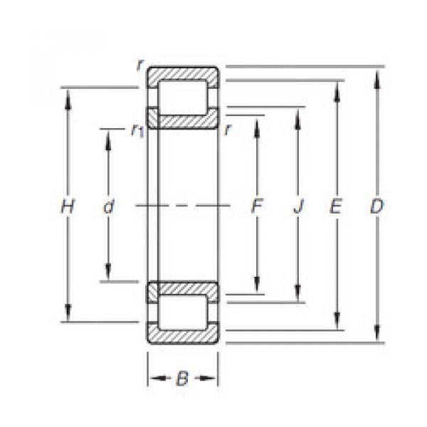 Rodamiento NUP305E.TVP Timken #1 image