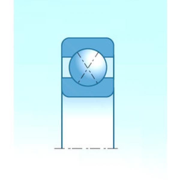 Rodamiento TA-QJ219BCS236U35K NTN #1 image