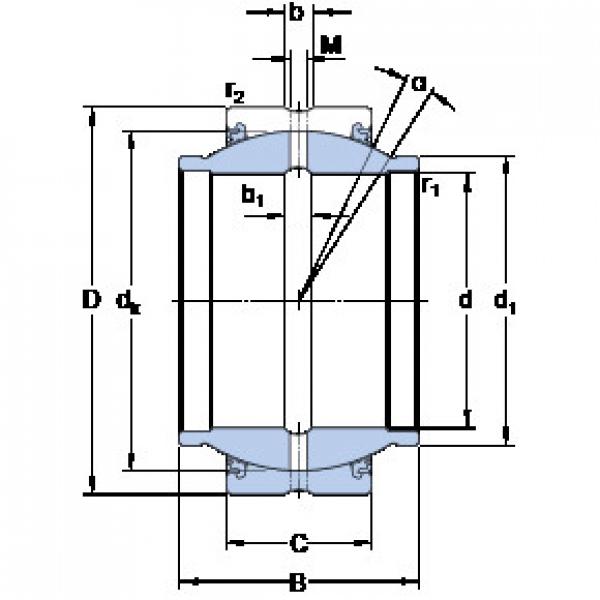 Rodamiento GEZM 300 ES-2LS SKF #1 image