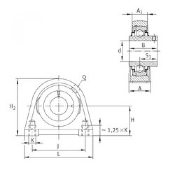 Rodamiento RSHEY45 INA #1 image